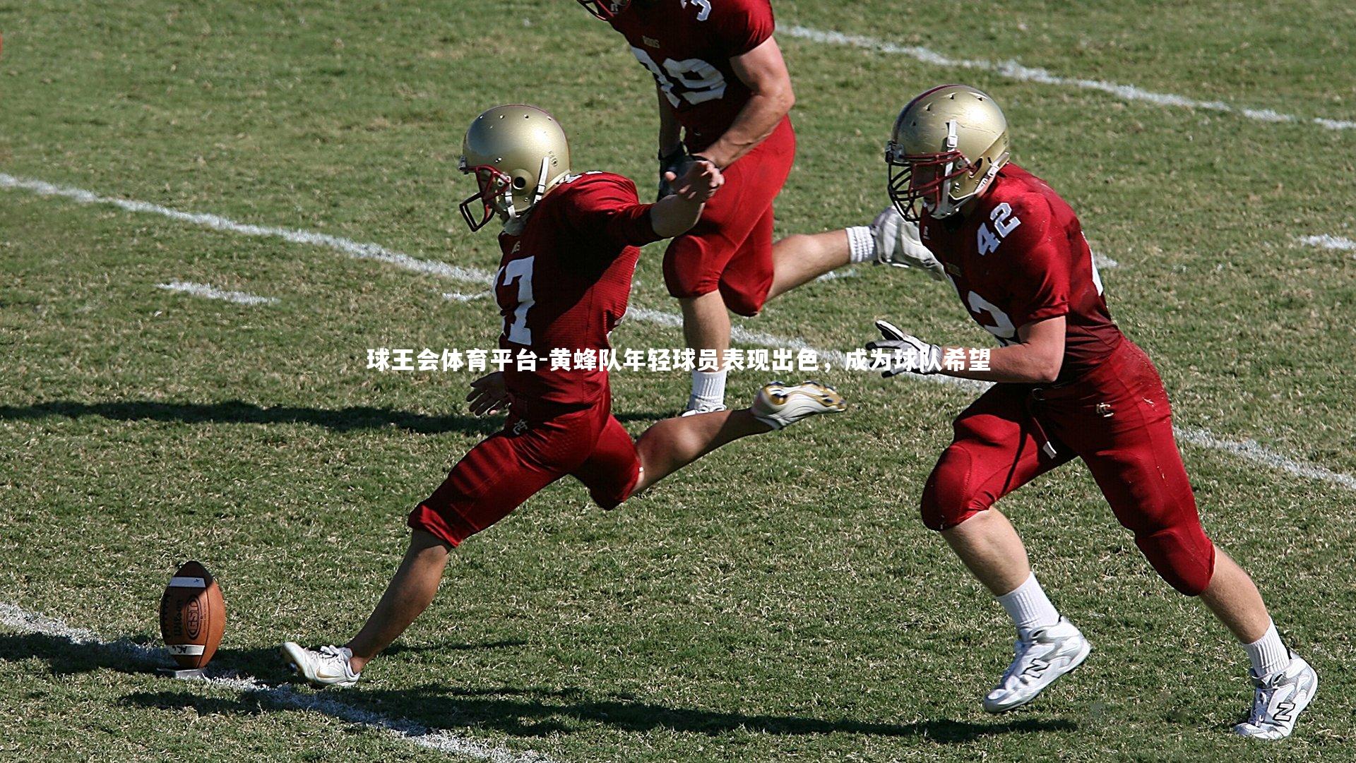 球王会体育平台-黄蜂队年轻球员表现出色，成为球队希望