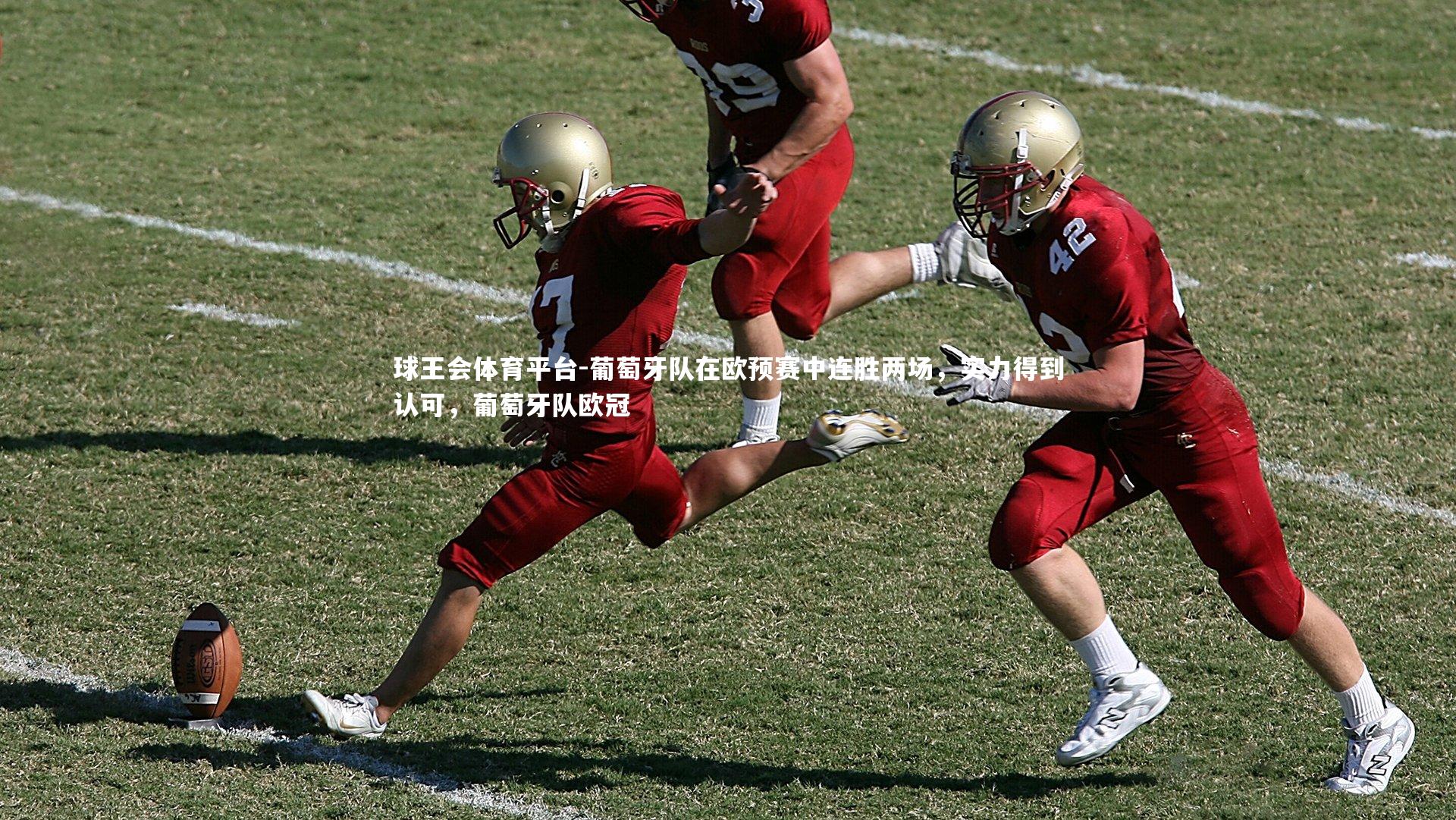 葡萄牙队在欧预赛中连胜两场，实力得到认可，葡萄牙队欧冠
