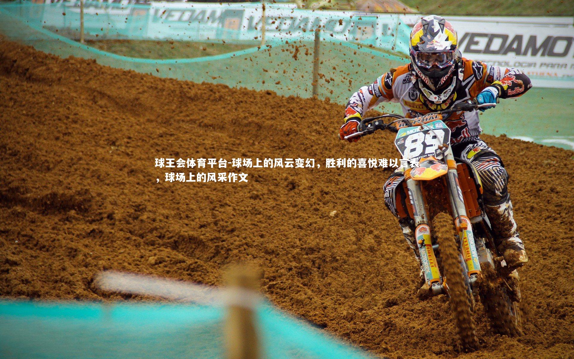 球场上的风云变幻,胜利的喜悦难以言表,球场上的风采作文