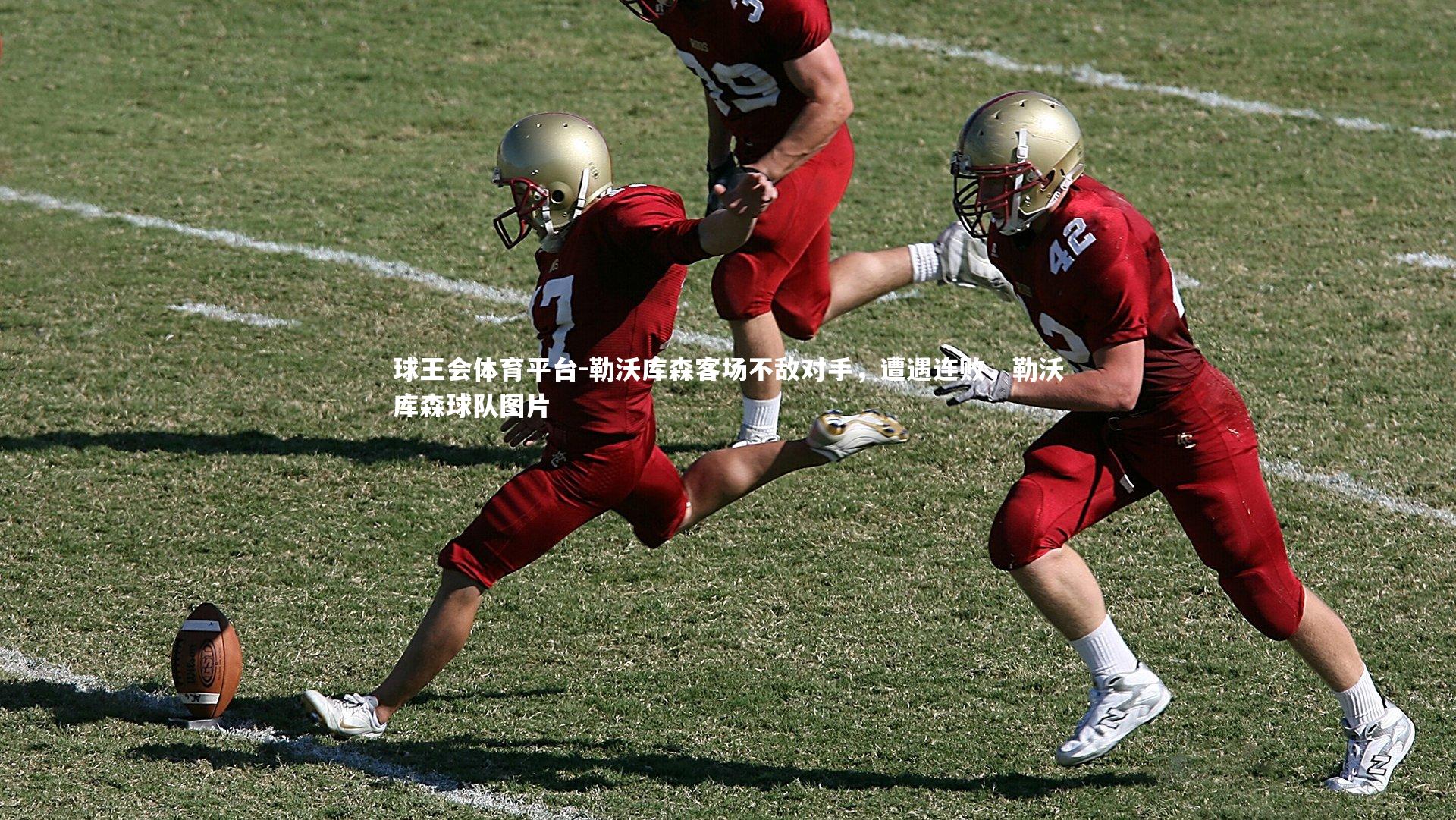 勒沃库森客场不敌对手，遭遇连败，勒沃库森球队图片