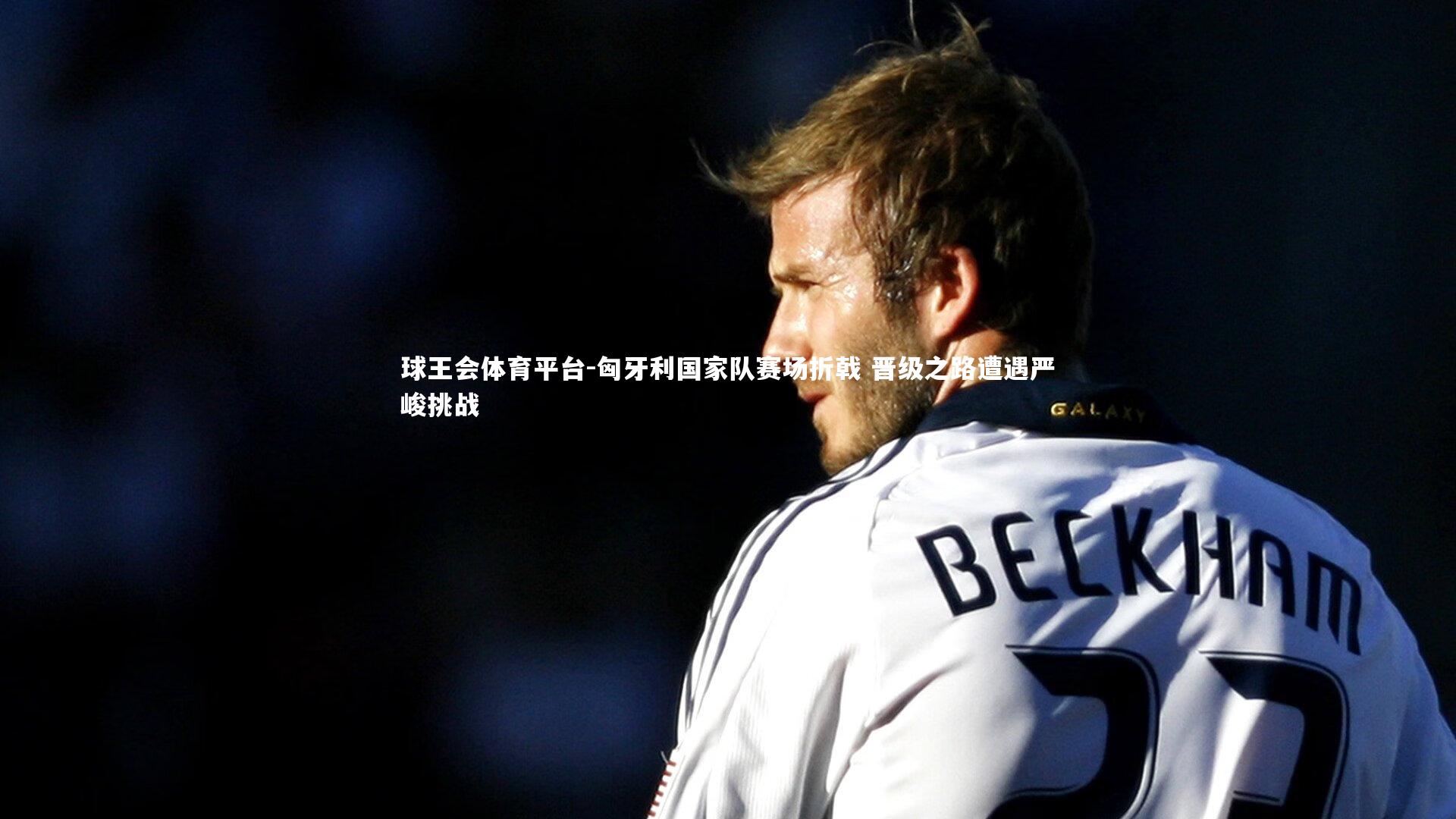 匈牙利国家队赛场折戟 晋级之路遭遇严峻挑战